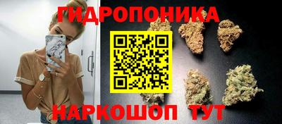 винт Будённовск
