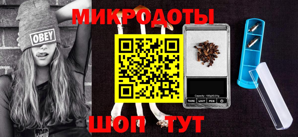 Галлюциногенные грибы Cubensis Смоленск